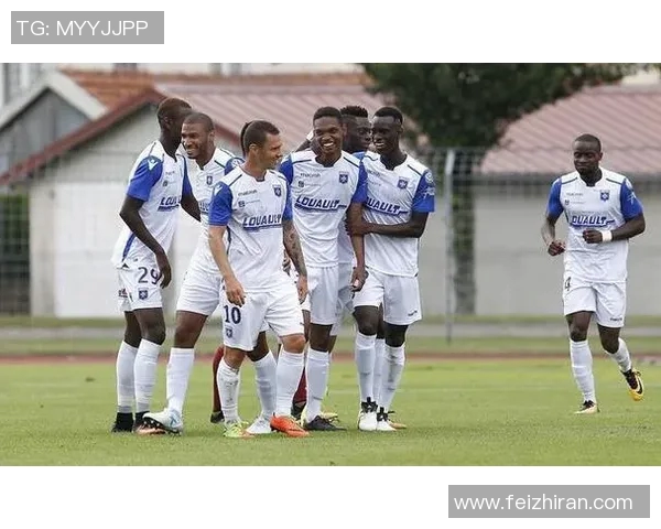 波尔多与勒芒比赛进球数分析及预测，精彩对决不容错过